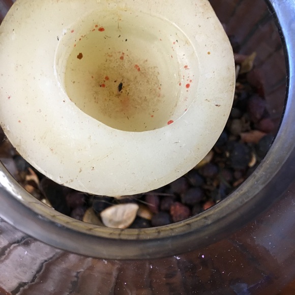 Rustic Primitive Glass jar filled with scented rose hips and a candle - Picture 4 of 5